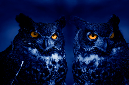 Night Owls vs. Early Birds: Who Sleeps Best? - Marks Psychiatry